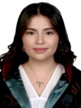Av. Anil Sekizer