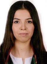Av. Arif Aliş