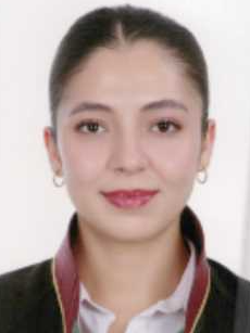 Av. Asli Akpinar İlhansayin