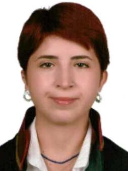Av. Asli Tarhangil