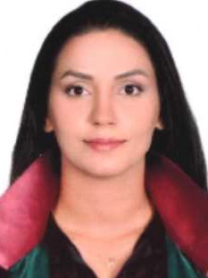 Av. Atakan Anil Alma