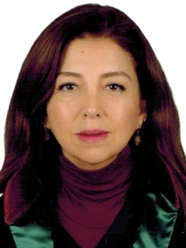 Av. Aydin Ersoy