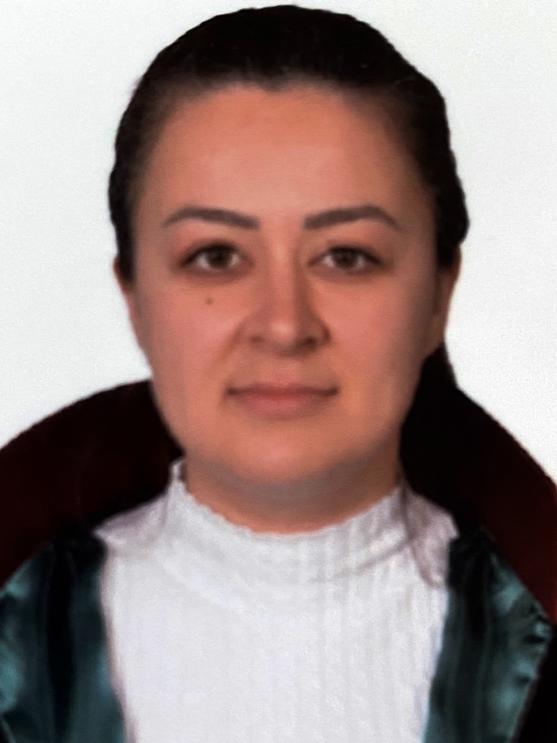 Av. Aykut Önsel