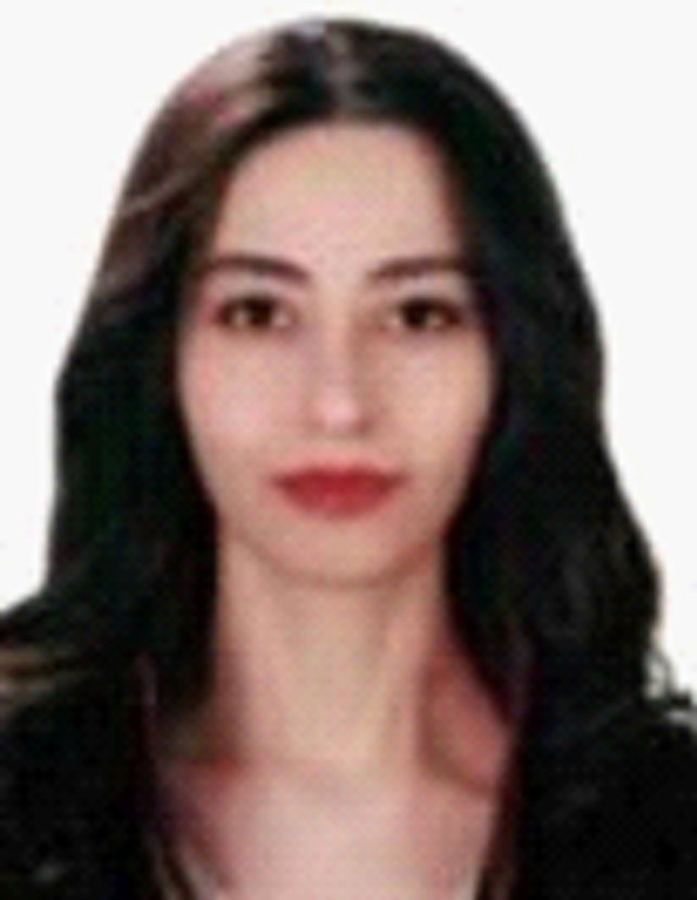Av. Ayşe Nur Birgün