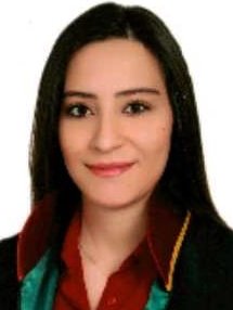 Av. Ayşenur Seher Delibey
