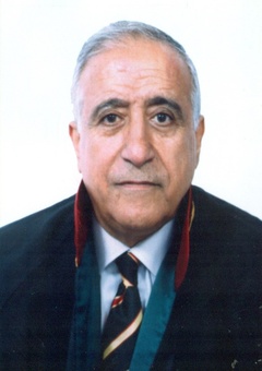 Aysun Aydin
