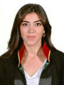 Av. Aysun Baysal