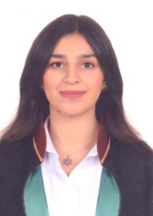 Av. Aysun Cingöz