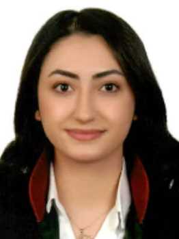 Av. Ayyüce Elif Önder