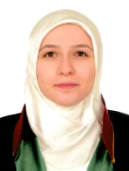 Av. Bahadir Aksakal