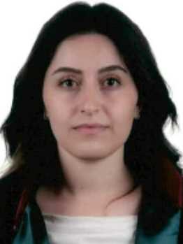 Av. Bahadir Cem Aygün