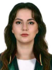 Av. Bahadir Haktanir