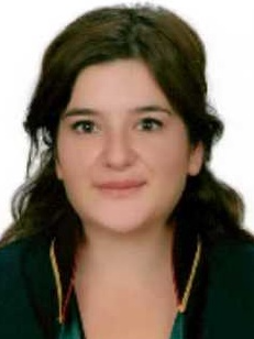 Av. Bahadircan Mahmutoğlu