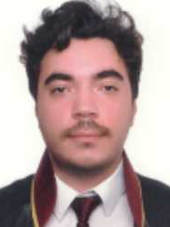 Bahar Yanik