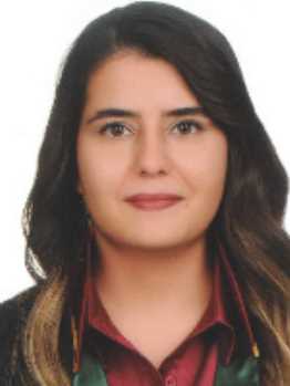 Av. Bariş Demirkiran
