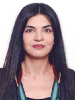 Av. Bariş Şahin