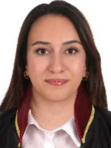 Av. Bariş Vardi