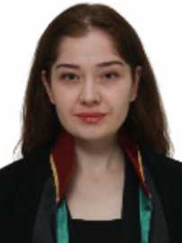 Av. Bariş Yilmaz