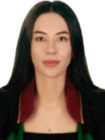 Av. Bedirhan Şirin