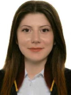 Av. Bekir Han Özsunar