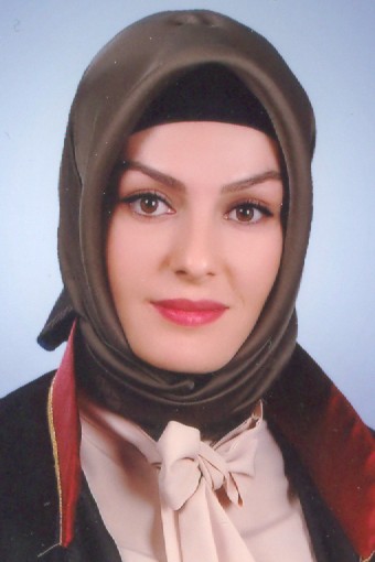 Av. Bekir Sarioğlu