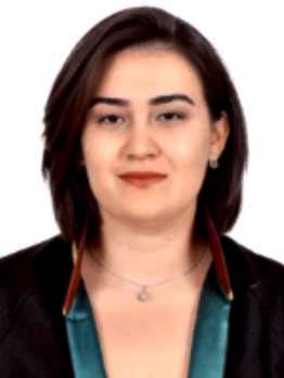 Av. Beyza Küçükbudak