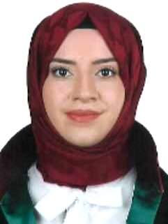 Av. Bilal Ayşin