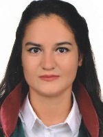 Av. Bilge Kaya Gözütok