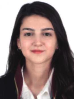 Av. Bircan Kabadayi Kargin