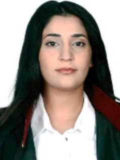 Av. Birsen Merve Demir