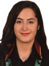 Av. Burak Emre Sezgin
