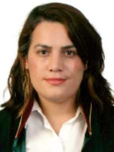 Av. Burhan Sadioğlu