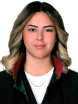Av. Büşra Özdemir Biçer