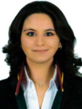 Av. Çağri Begen