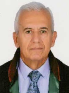 Av. Cengiz Gündoğmuş
