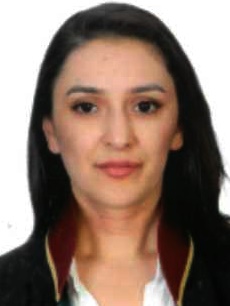 Av. Ceren İçli