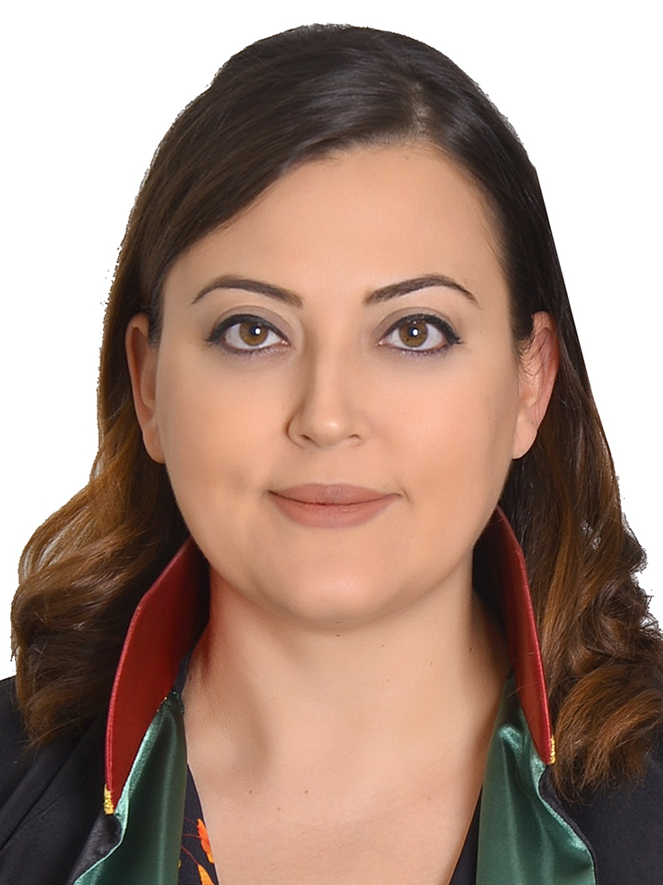 Av. Civan Ortaç