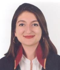 Av. Diyar Kaya Güngören