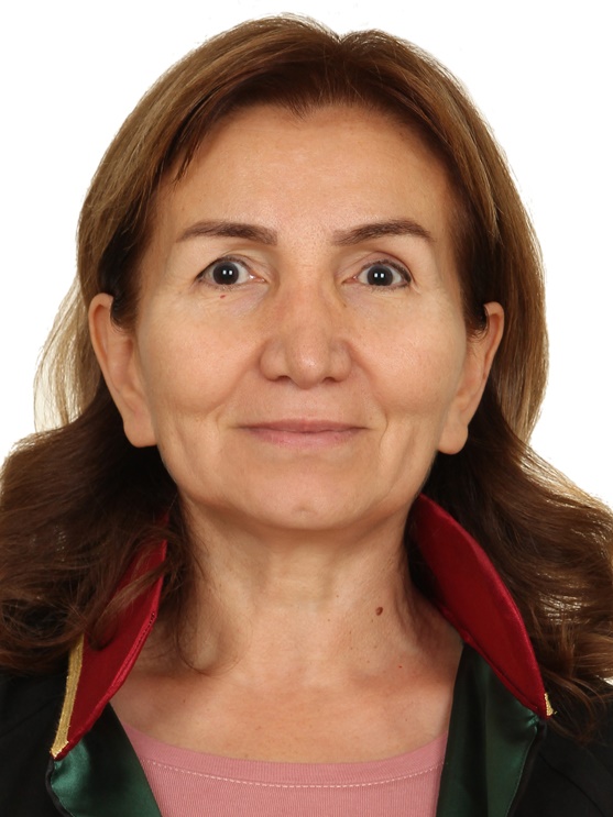 Av. Doğan Akyürek