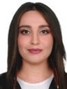 Av. Ebru Akçayir