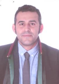 Av. Ekin Güler
