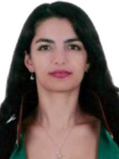 Av. Elif Gürler