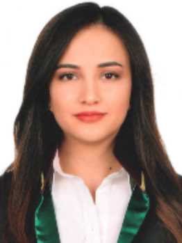 Av. Elif Kübra Türkcan
