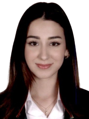 Av. Elif Özdal