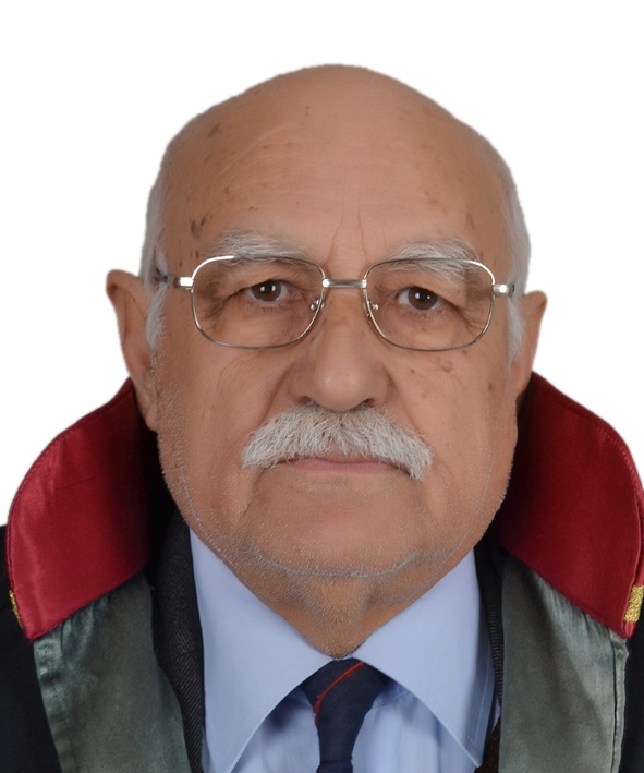 Av. Elife Dilara Güngör