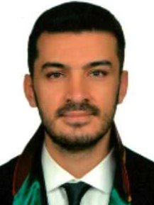Av. Elmas Meltem Toklu Küçüker