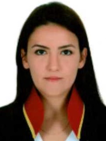 Av. Emine Gezer