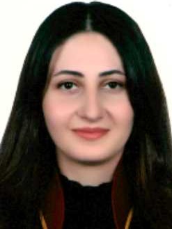 Av. Emine Özleyen