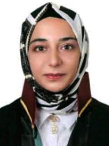 Av. Emre Sariemir