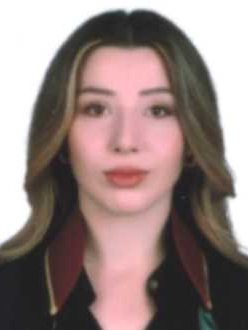 Av. Enes Ertaş